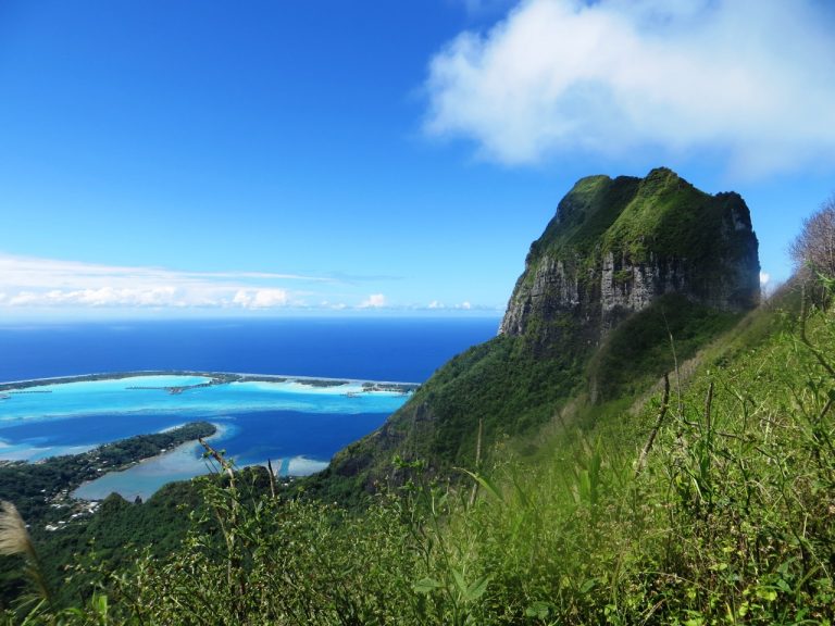 Die blaue Torte | Windpilot Blog