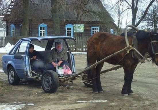 PferdeAuto-Kopie.jpg